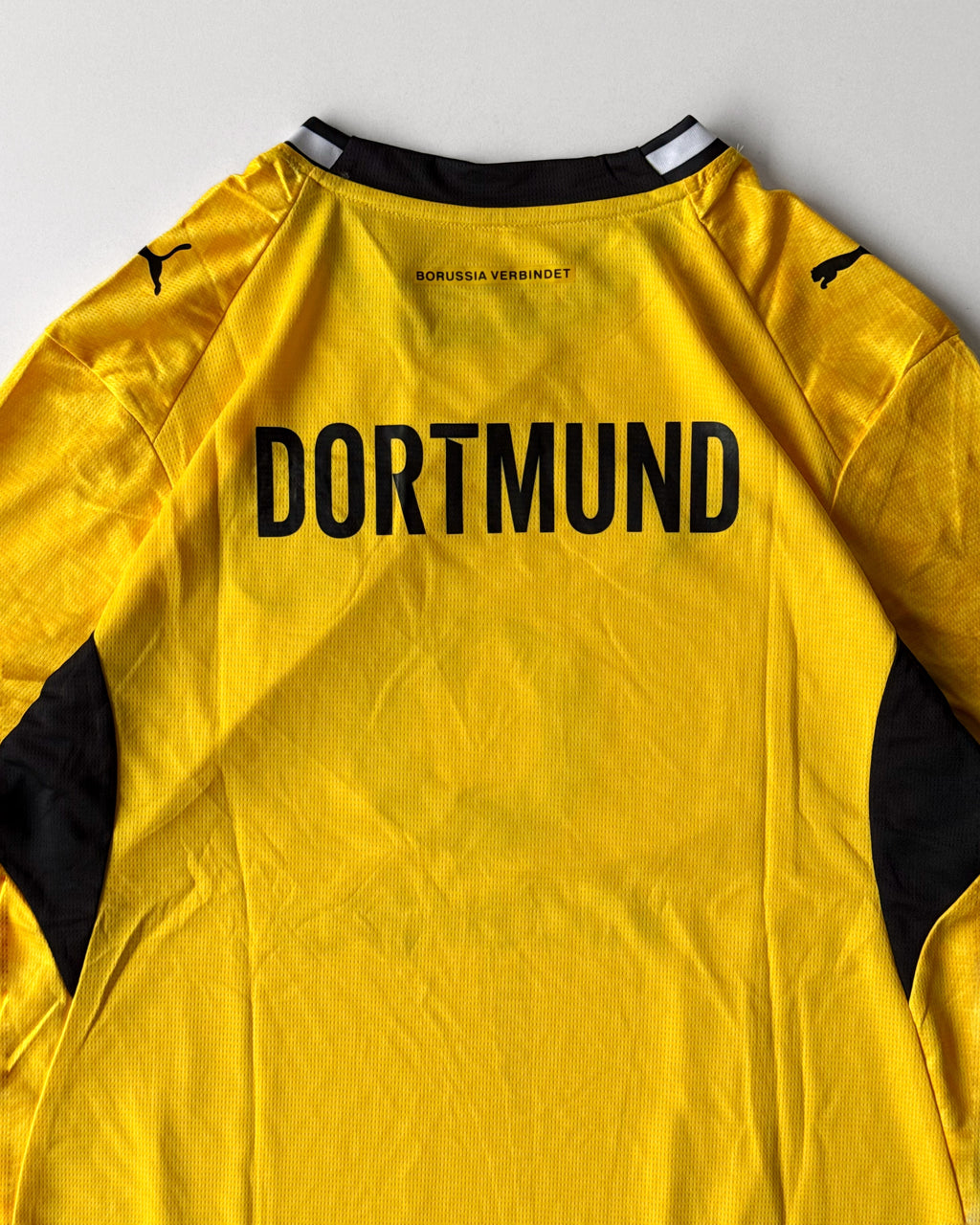 Dortmund Home 26/27 - Master Quality